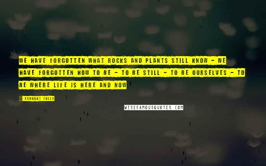 Eckhart Tolle Quotes: We have forgotten what rocks and plants still know - we have forgotten how to be - to be still - to be ourselves - to be where life is here and now