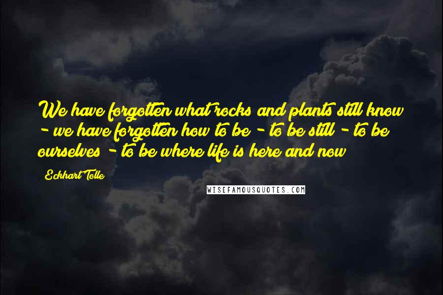 Eckhart Tolle Quotes: We have forgotten what rocks and plants still know - we have forgotten how to be - to be still - to be ourselves - to be where life is here and now