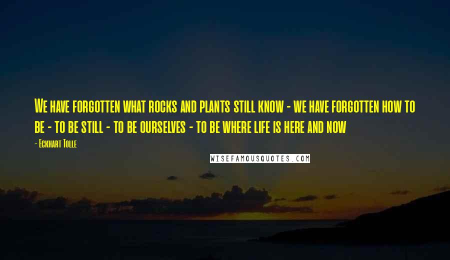 Eckhart Tolle Quotes: We have forgotten what rocks and plants still know - we have forgotten how to be - to be still - to be ourselves - to be where life is here and now