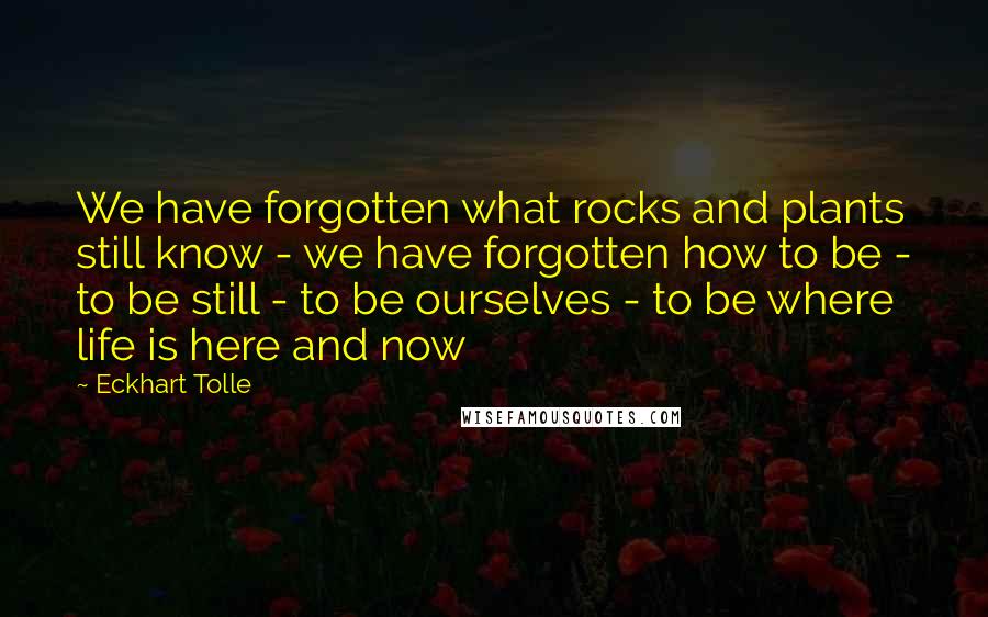 Eckhart Tolle Quotes: We have forgotten what rocks and plants still know - we have forgotten how to be - to be still - to be ourselves - to be where life is here and now
