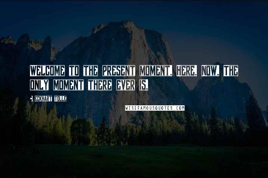 Eckhart Tolle Quotes: Welcome to the present moment. Here. Now. The only moment there ever is.