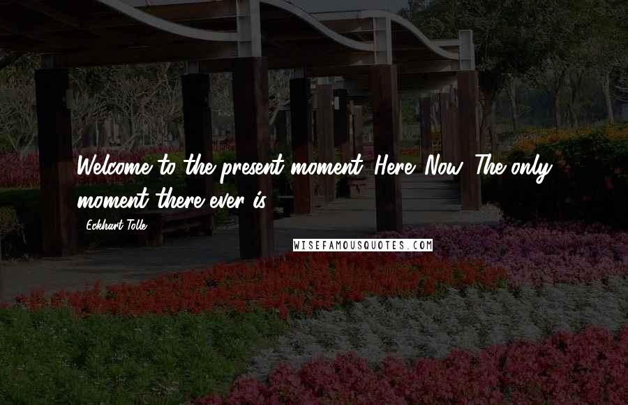 Eckhart Tolle Quotes: Welcome to the present moment. Here. Now. The only moment there ever is.