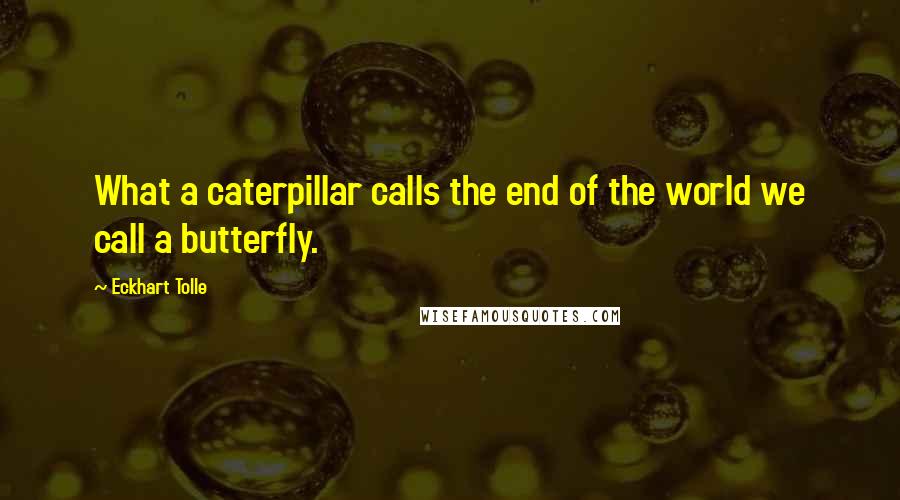 Eckhart Tolle Quotes: What a caterpillar calls the end of the world we call a butterfly.