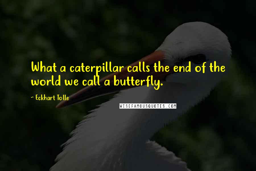 Eckhart Tolle Quotes: What a caterpillar calls the end of the world we call a butterfly.