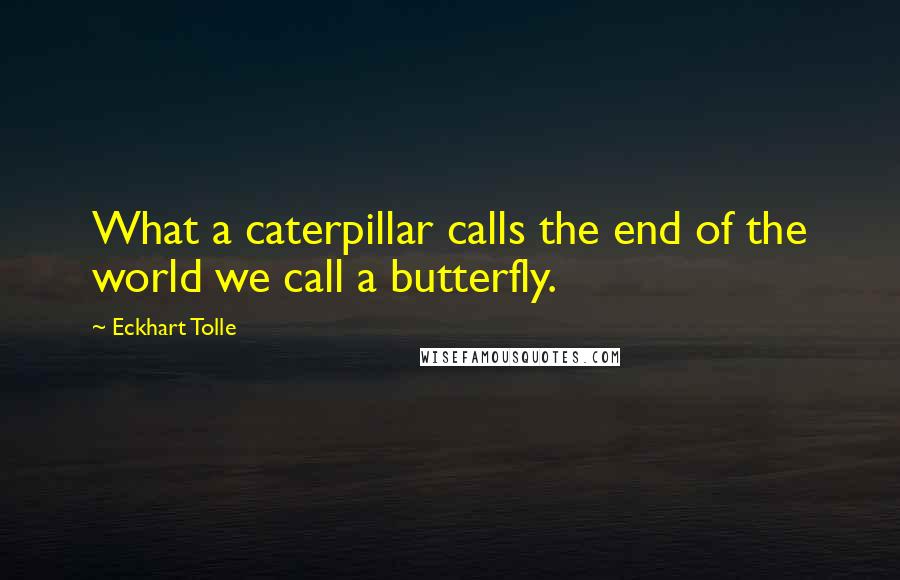 Eckhart Tolle Quotes: What a caterpillar calls the end of the world we call a butterfly.