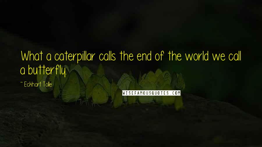 Eckhart Tolle Quotes: What a caterpillar calls the end of the world we call a butterfly.