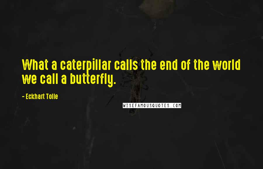 Eckhart Tolle Quotes: What a caterpillar calls the end of the world we call a butterfly.