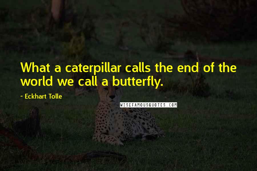 Eckhart Tolle Quotes: What a caterpillar calls the end of the world we call a butterfly.