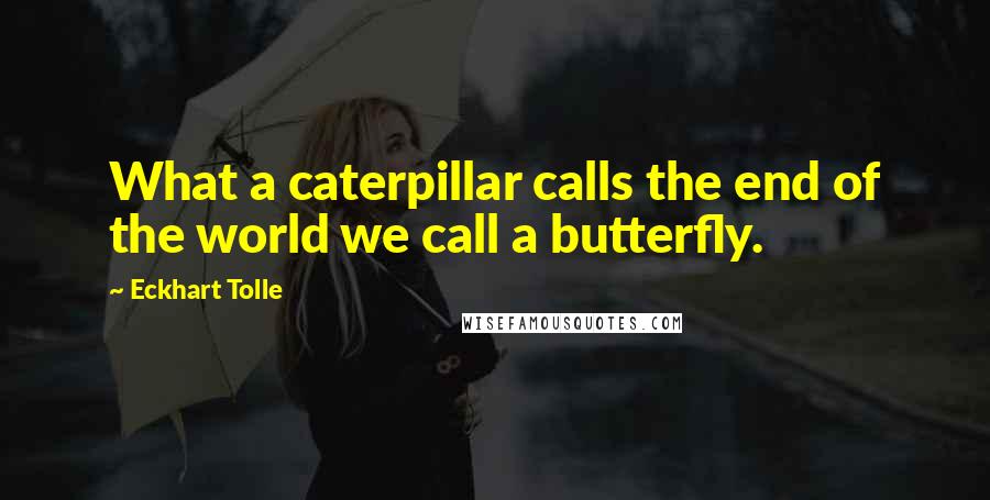 Eckhart Tolle Quotes: What a caterpillar calls the end of the world we call a butterfly.