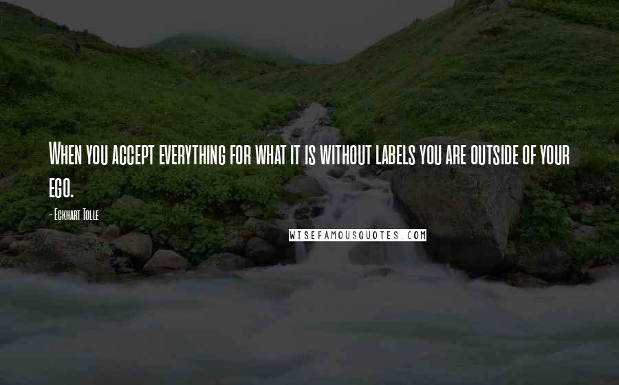 Eckhart Tolle Quotes: When you accept everything for what it is without labels you are outside of your ego.