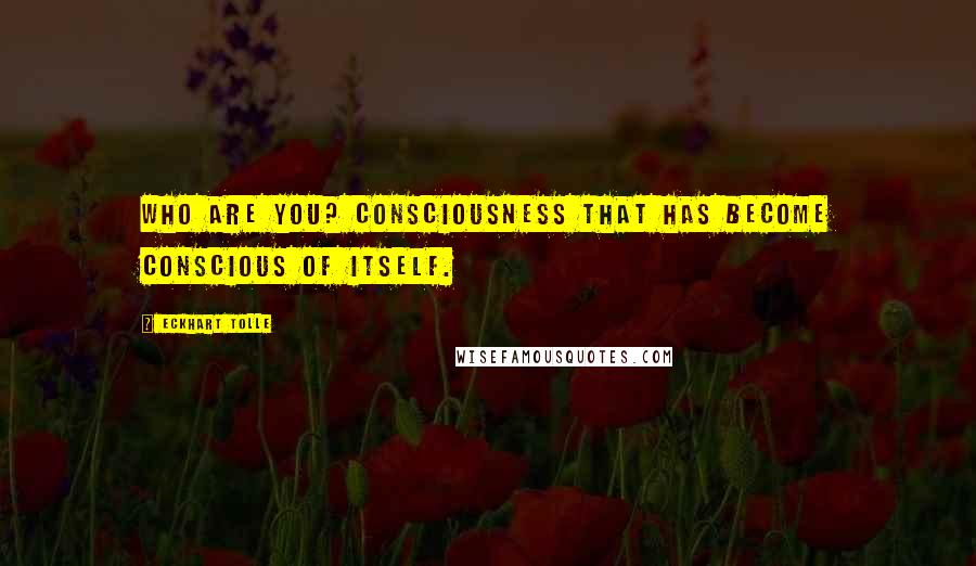 Eckhart Tolle Quotes: Who are you? Consciousness that has become conscious of itself.