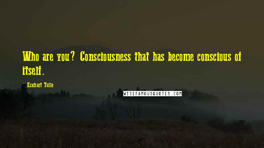 Eckhart Tolle Quotes: Who are you? Consciousness that has become conscious of itself.