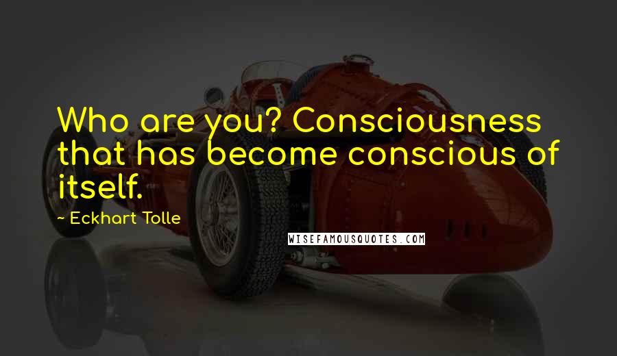 Eckhart Tolle Quotes: Who are you? Consciousness that has become conscious of itself.