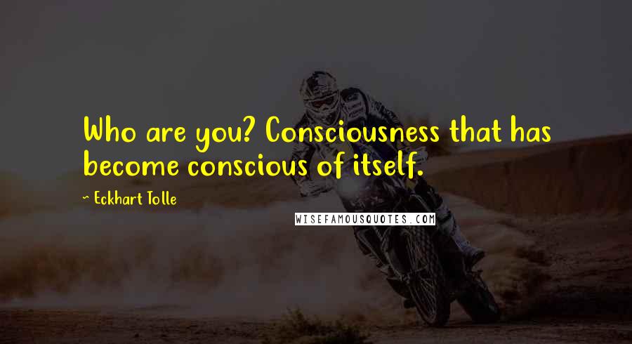 Eckhart Tolle Quotes: Who are you? Consciousness that has become conscious of itself.