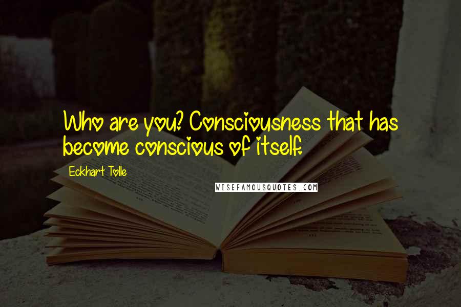 Eckhart Tolle Quotes: Who are you? Consciousness that has become conscious of itself.