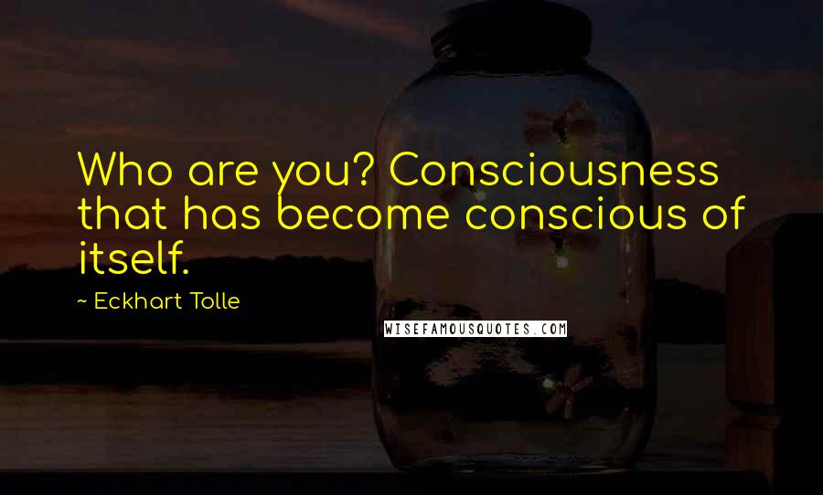 Eckhart Tolle Quotes: Who are you? Consciousness that has become conscious of itself.