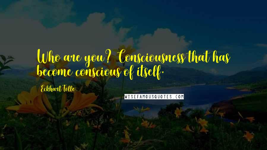 Eckhart Tolle Quotes: Who are you? Consciousness that has become conscious of itself.
