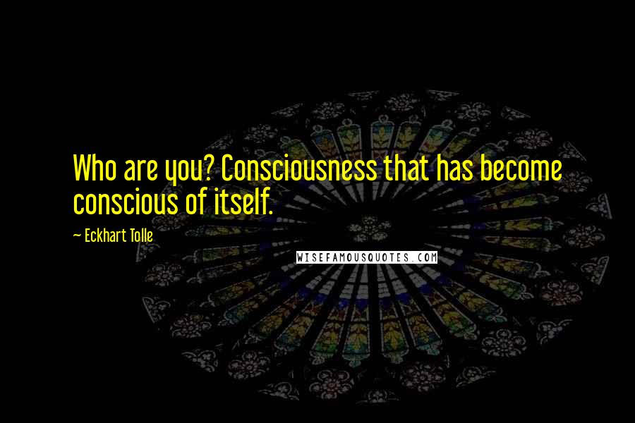 Eckhart Tolle Quotes: Who are you? Consciousness that has become conscious of itself.