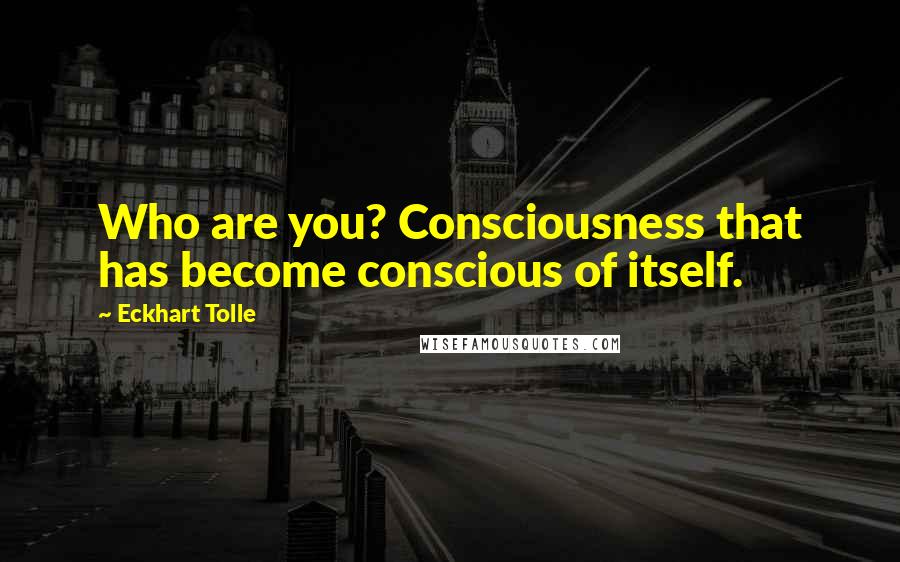 Eckhart Tolle Quotes: Who are you? Consciousness that has become conscious of itself.