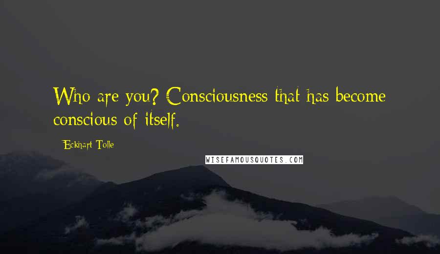 Eckhart Tolle Quotes: Who are you? Consciousness that has become conscious of itself.
