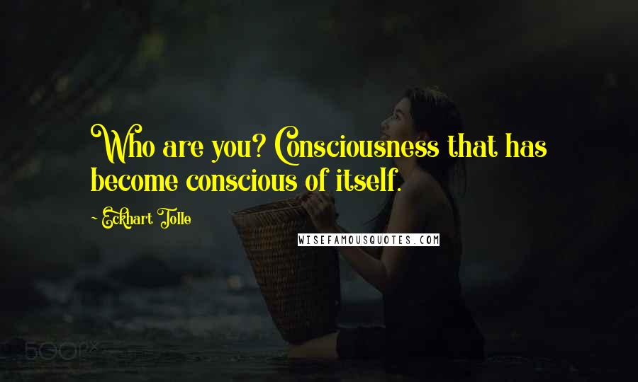 Eckhart Tolle Quotes: Who are you? Consciousness that has become conscious of itself.