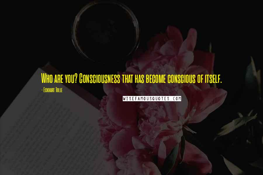 Eckhart Tolle Quotes: Who are you? Consciousness that has become conscious of itself.