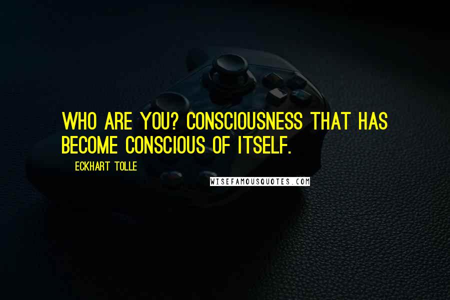 Eckhart Tolle Quotes: Who are you? Consciousness that has become conscious of itself.