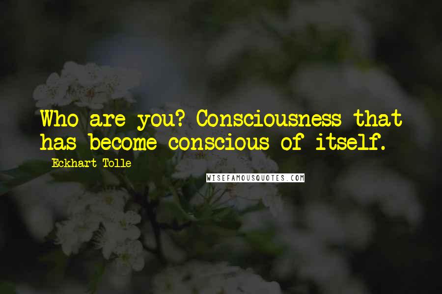Eckhart Tolle Quotes: Who are you? Consciousness that has become conscious of itself.
