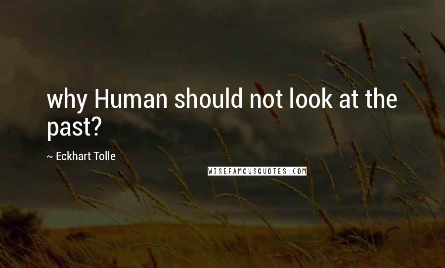 Eckhart Tolle Quotes: why Human should not look at the past?