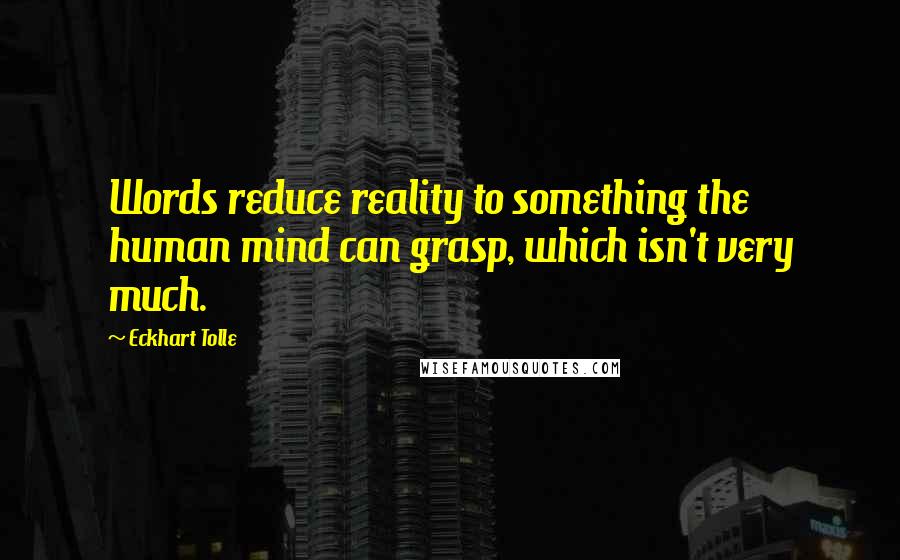 Eckhart Tolle Quotes: Words reduce reality to something the human mind can grasp, which isn't very much.