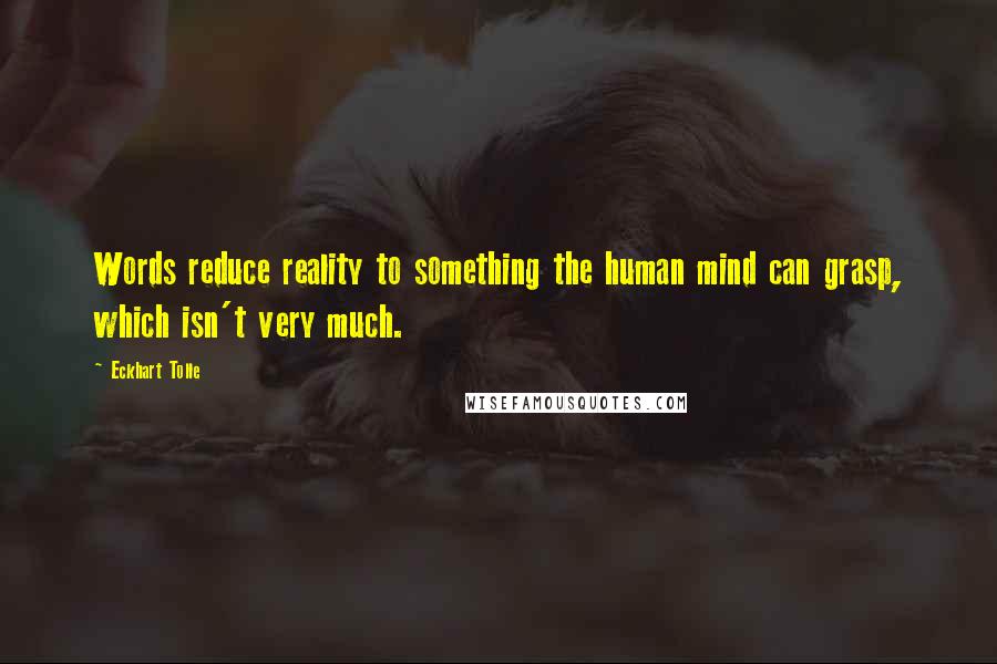Eckhart Tolle Quotes: Words reduce reality to something the human mind can grasp, which isn't very much.