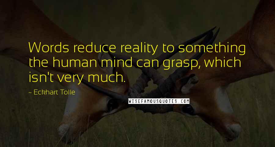 Eckhart Tolle Quotes: Words reduce reality to something the human mind can grasp, which isn't very much.