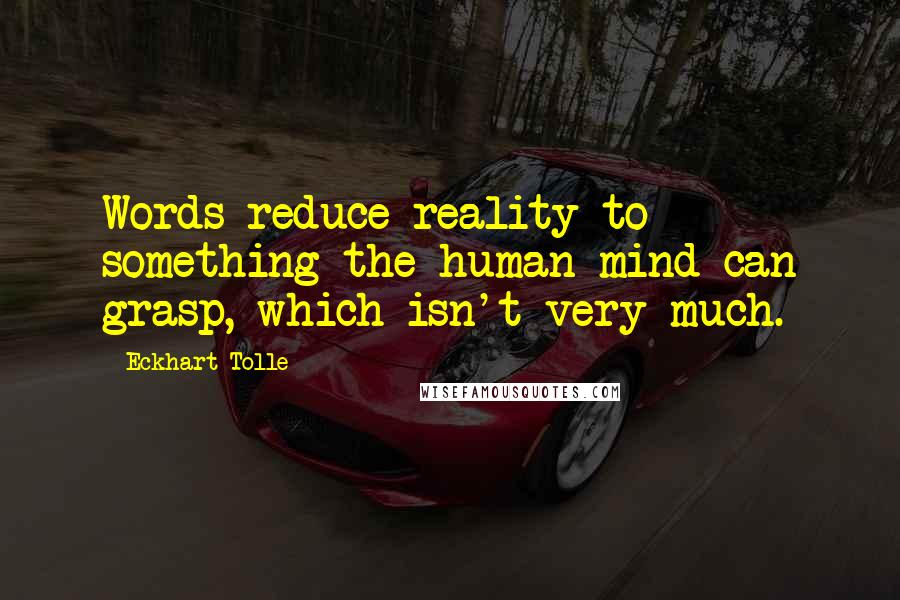 Eckhart Tolle Quotes: Words reduce reality to something the human mind can grasp, which isn't very much.