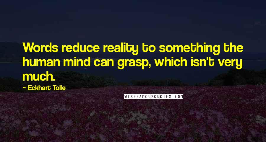 Eckhart Tolle Quotes: Words reduce reality to something the human mind can grasp, which isn't very much.