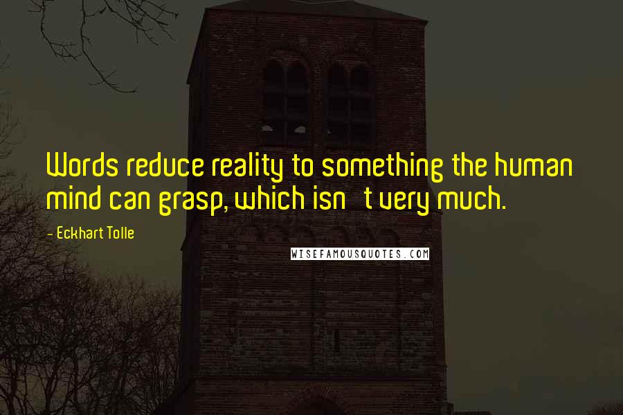 Eckhart Tolle Quotes: Words reduce reality to something the human mind can grasp, which isn't very much.