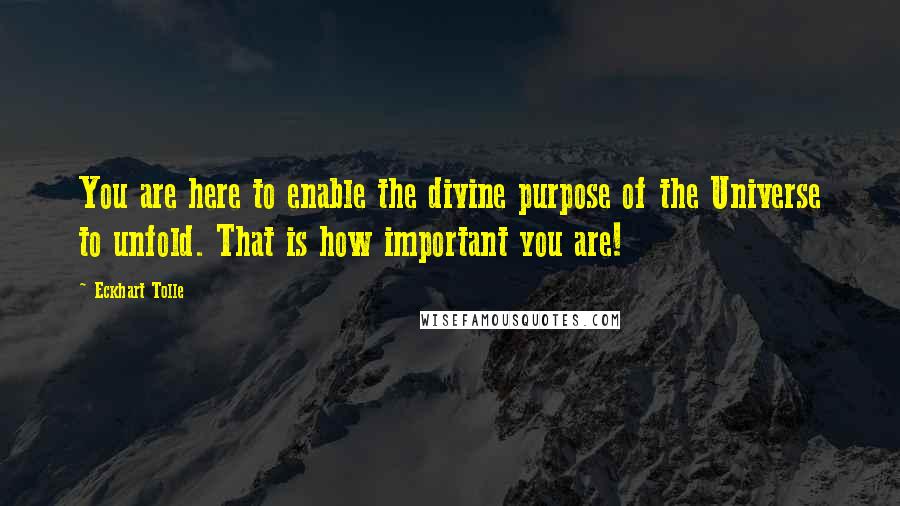 Eckhart Tolle Quotes: You are here to enable the divine purpose of the Universe to unfold. That is how important you are!