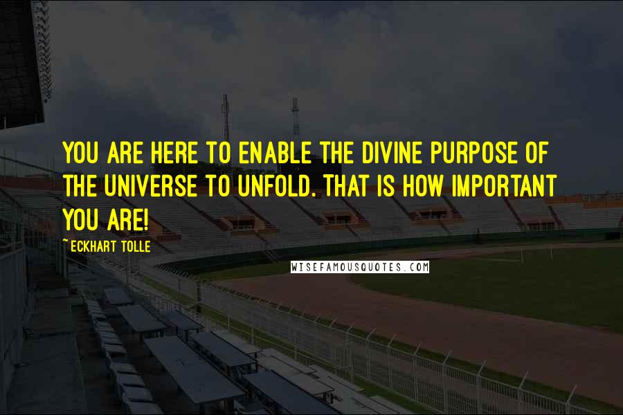 Eckhart Tolle Quotes: You are here to enable the divine purpose of the Universe to unfold. That is how important you are!