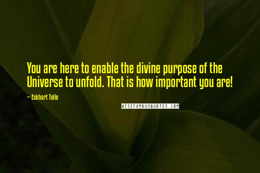 Eckhart Tolle Quotes: You are here to enable the divine purpose of the Universe to unfold. That is how important you are!