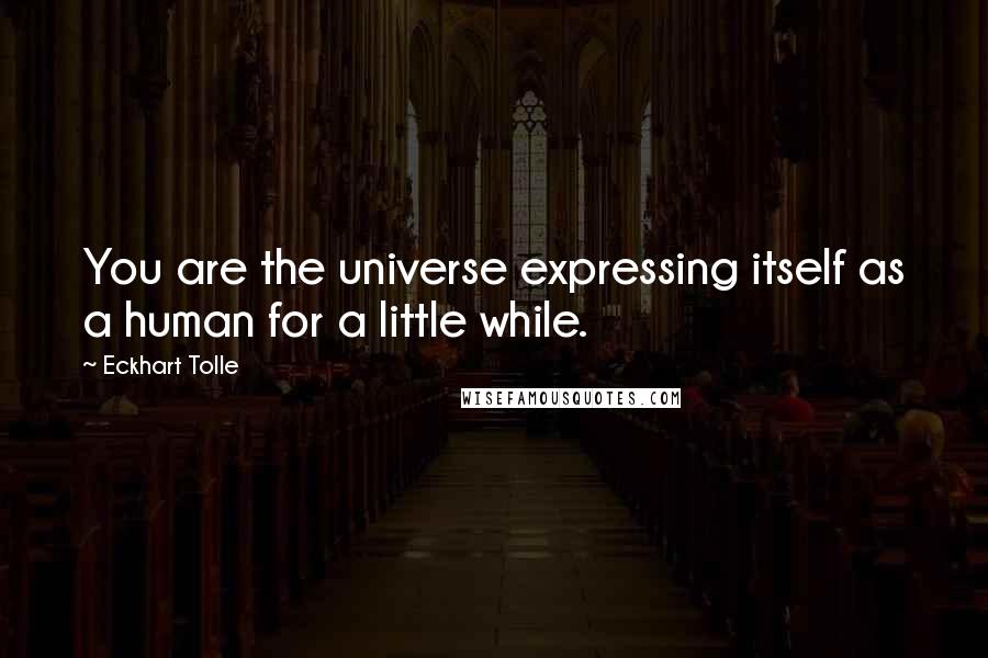 Eckhart Tolle Quotes: You are the universe expressing itself as a human for a little while.