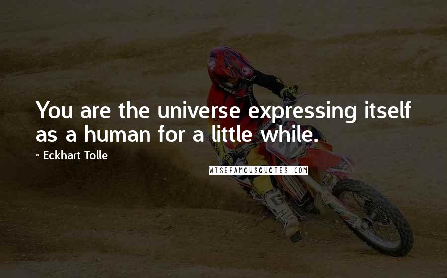 Eckhart Tolle Quotes: You are the universe expressing itself as a human for a little while.