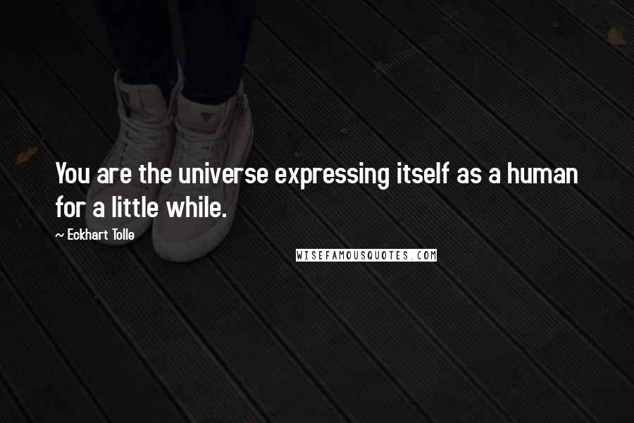 Eckhart Tolle Quotes: You are the universe expressing itself as a human for a little while.