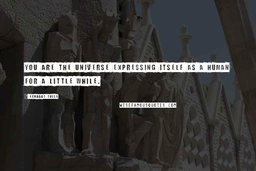 Eckhart Tolle Quotes: You are the universe expressing itself as a human for a little while.