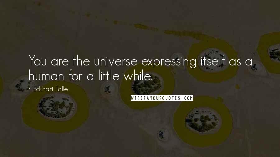 Eckhart Tolle Quotes: You are the universe expressing itself as a human for a little while.
