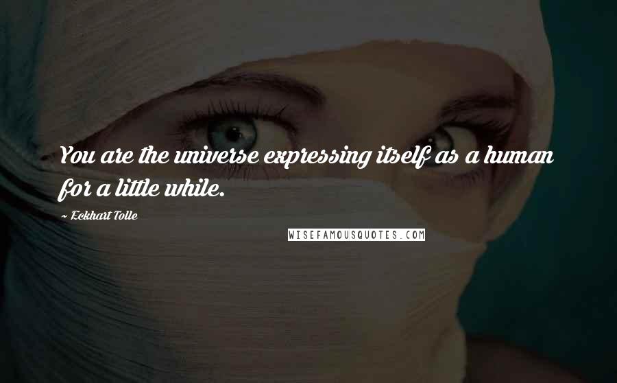 Eckhart Tolle Quotes: You are the universe expressing itself as a human for a little while.