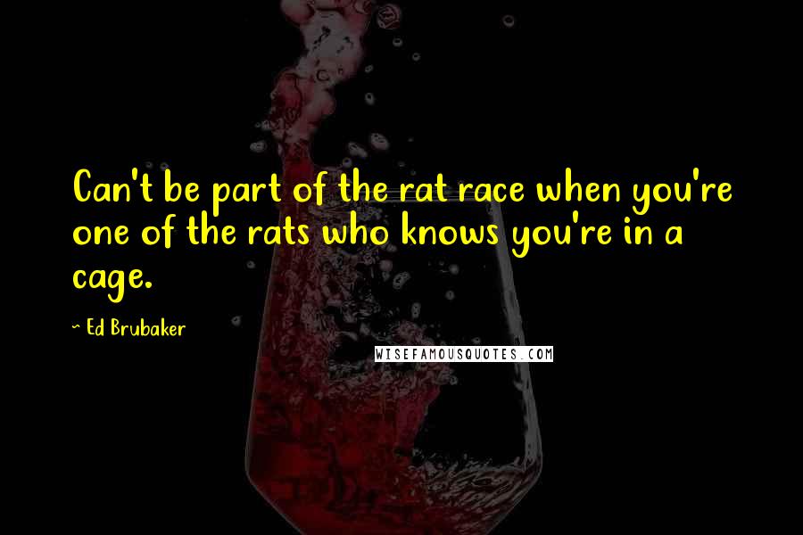 Ed Brubaker Quotes: Can't be part of the rat race when you're one of the rats who knows you're in a cage.