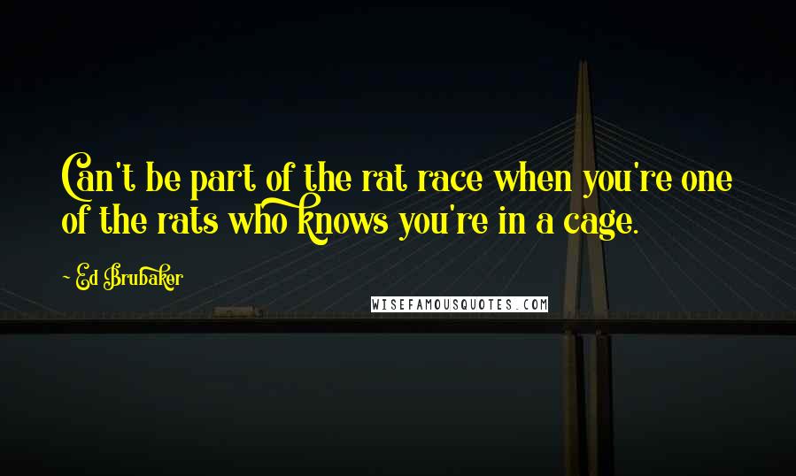 Ed Brubaker Quotes: Can't be part of the rat race when you're one of the rats who knows you're in a cage.