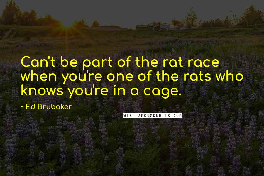 Ed Brubaker Quotes: Can't be part of the rat race when you're one of the rats who knows you're in a cage.