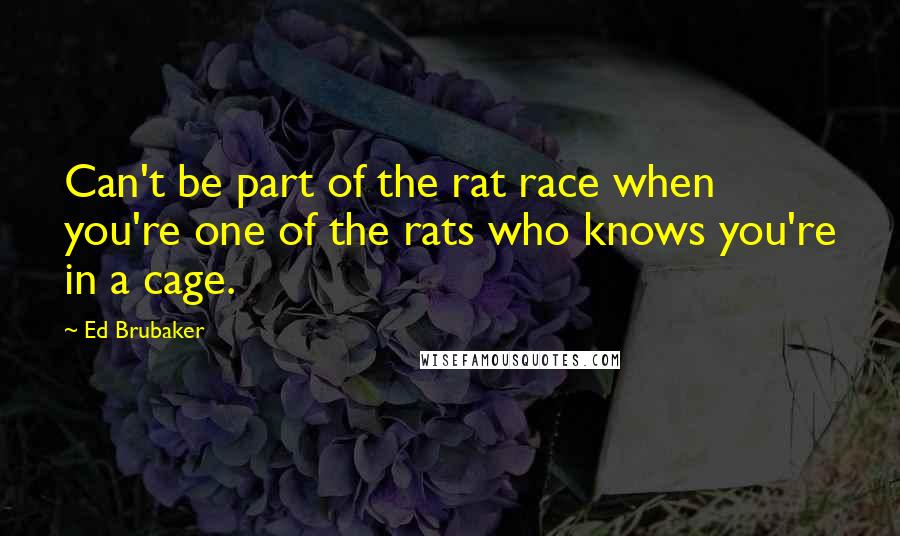 Ed Brubaker Quotes: Can't be part of the rat race when you're one of the rats who knows you're in a cage.