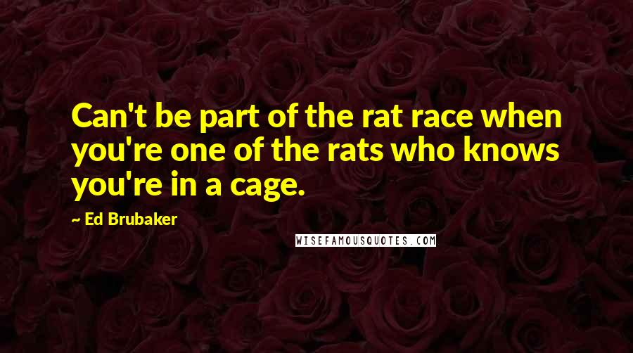 Ed Brubaker Quotes: Can't be part of the rat race when you're one of the rats who knows you're in a cage.