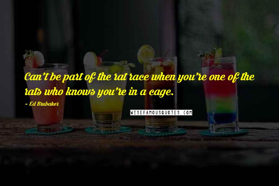 Ed Brubaker Quotes: Can't be part of the rat race when you're one of the rats who knows you're in a cage.